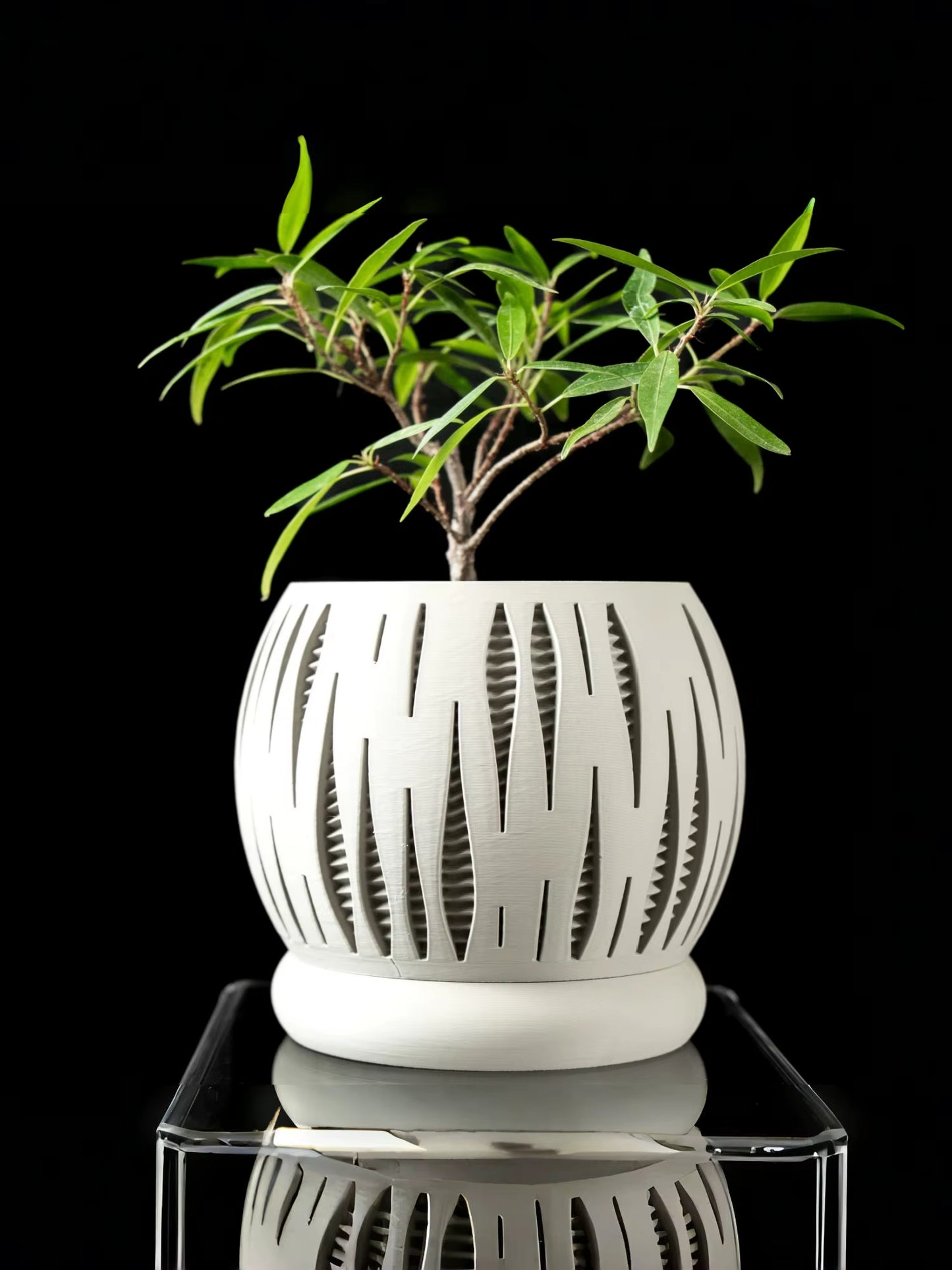 Biodegradable 3D Printed Plant Pot - Eco-Friendly Flower Planter for Home Decor and Sustainable Gifting